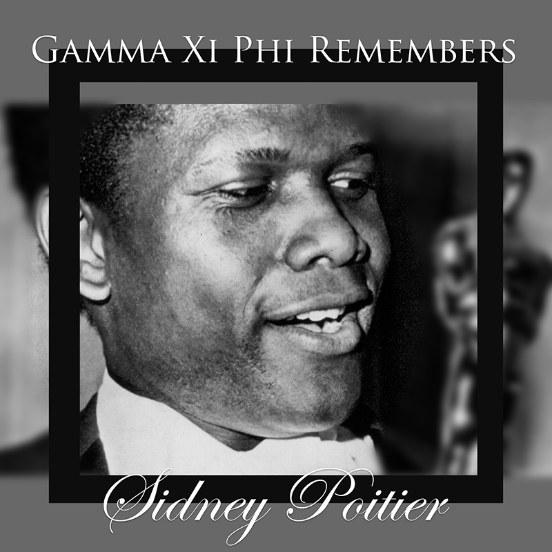 Sidney Poitier, overlaid with text saying "Gamma Xi Phi remembers Sidney Poitier"